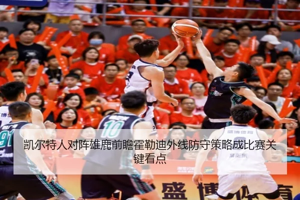 凯尔特人对阵雄鹿前瞻霍勒迪外线防守策略成比赛关键看点